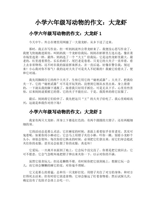 小学六年级写动物的作文大龙虾