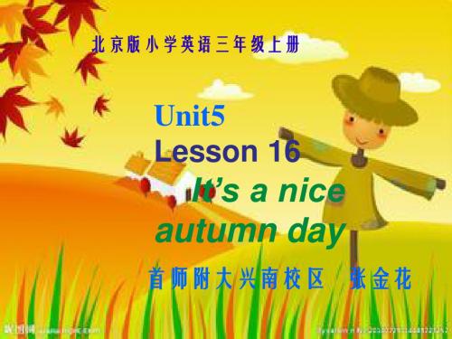 Unit 5 It’s a nice autumn day(省一等奖)