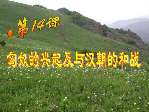 第14课匈奴的兴起及与汉朝的和战