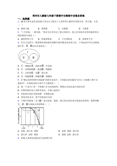 郑州市人教版七年级下册期中生物期中试卷及答案
