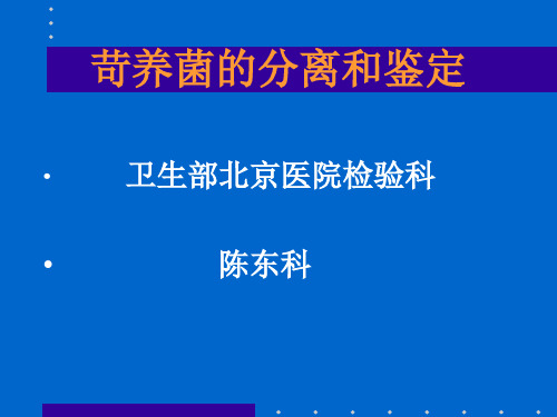 5-苛养菌的分离与鉴定