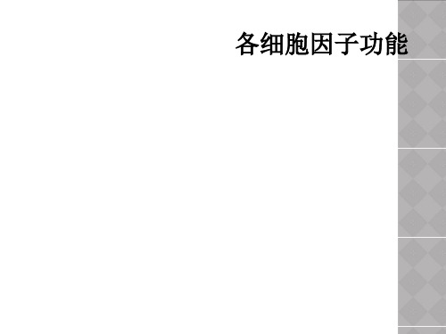 各细胞因子功能