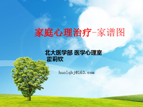 北医霍莉钦-家庭心理治疗《家谱图》
