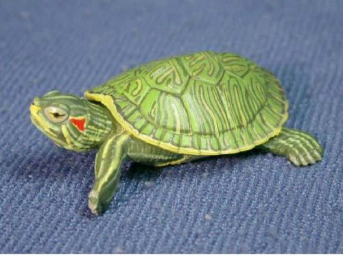 梅《19生物入侵者》