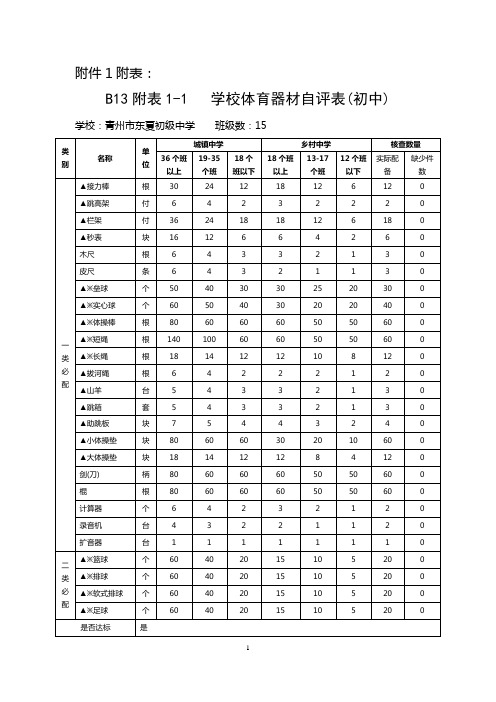 体卫艺器材自评核查表2013.10.17