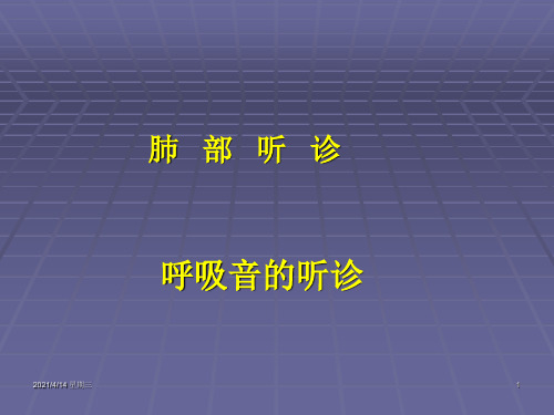 肺部听诊呼吸音的听诊诊断学课件