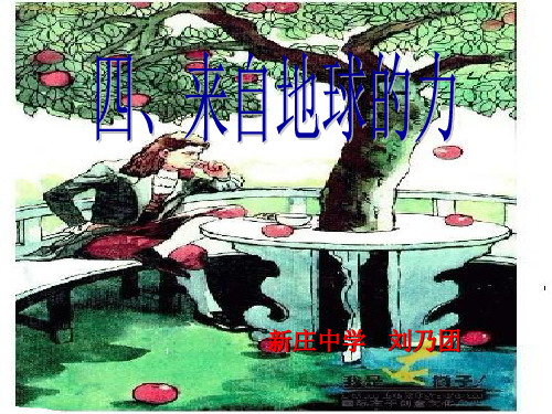 【沪科版】八年级物理：来自地球的力 课件