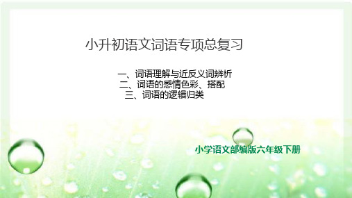 2020部编版语文小升初毕业考词语专项复习课件  (1-6年级)最后一轮复习