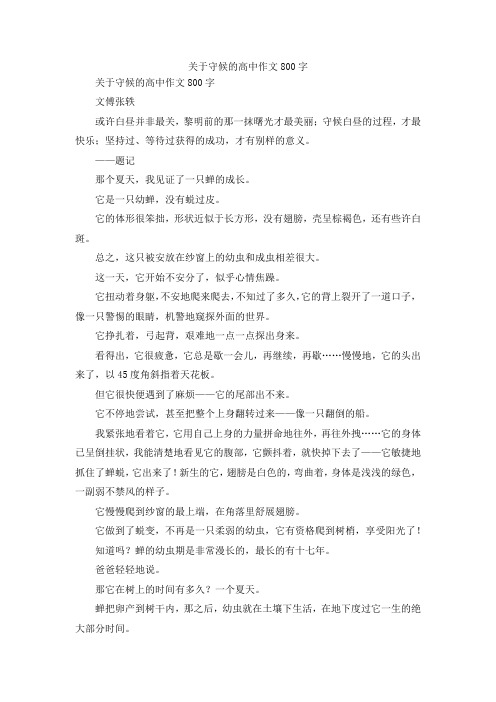 最新-关于守候的高中作文800字 精品