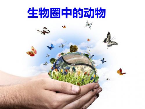 15生物圈中的动物、动物行为、动物的作用