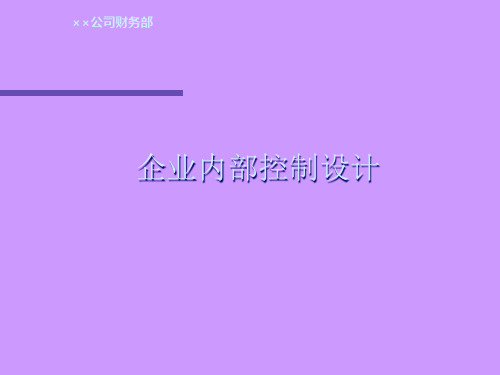 某公司内控制度设计.pptx