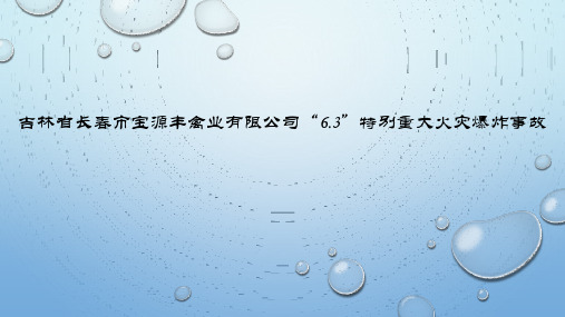 吉林省长春市宝源丰禽业有限公司“6.3”特别重大火灾爆炸事故