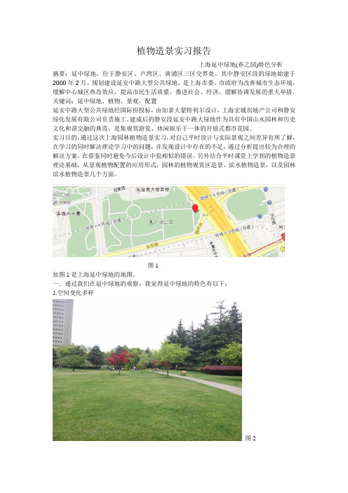 上海延中绿地