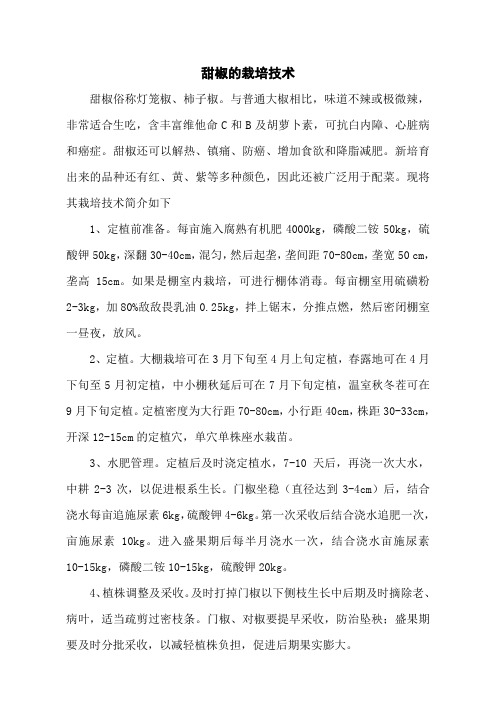 甜椒的栽培技术