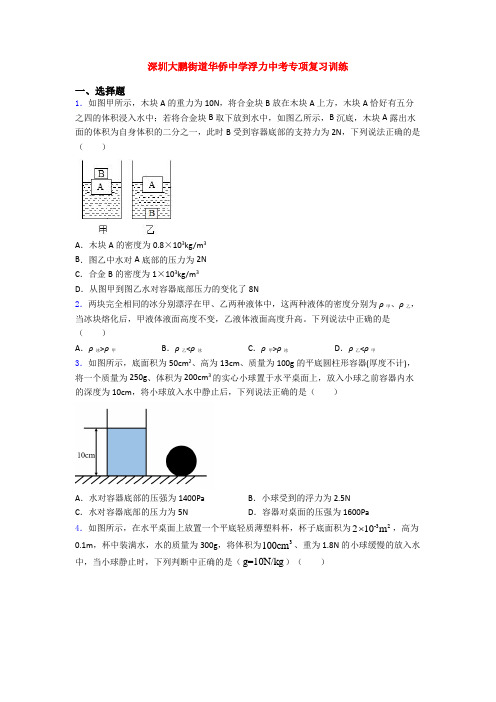 深圳大鹏街道华侨中学浮力中考专项复习训练