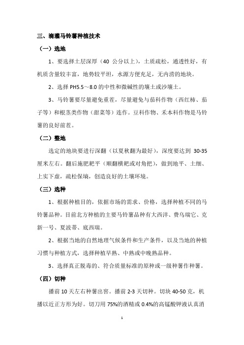滴灌马铃薯种植技术