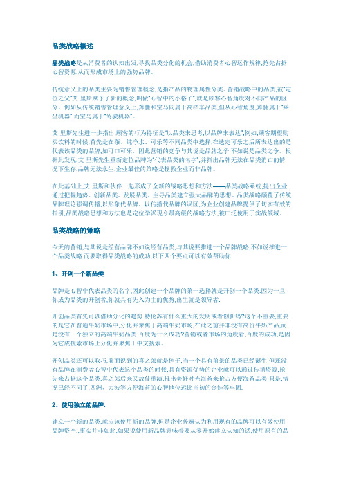 品类战略概述