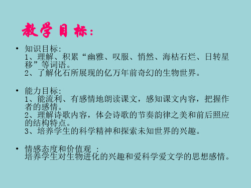 《化石吟》课件