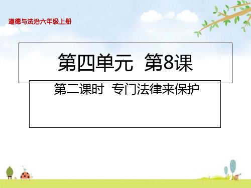 专门法律来保护课件(23张PPT)