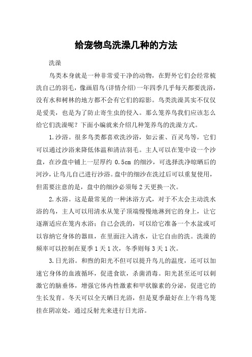给宠物鸟洗澡几种的方法