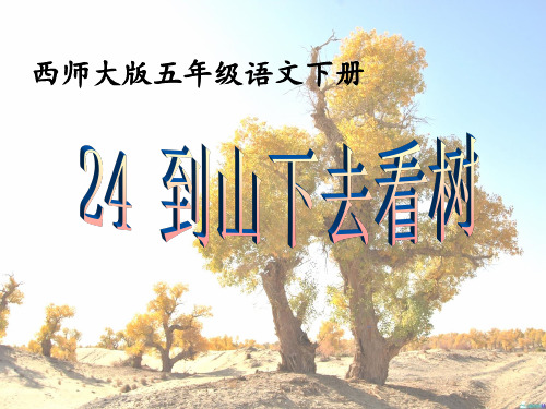 西南师大版五年级语文下册《六单元  24. 到山下去看树》课件_31