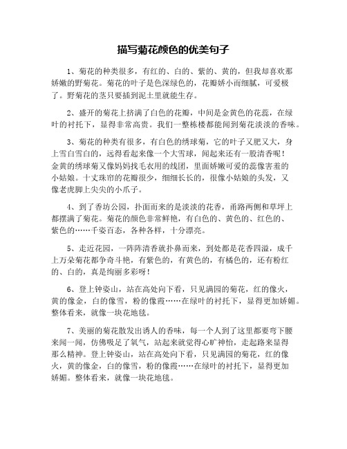 描写菊花颜色的优美句子