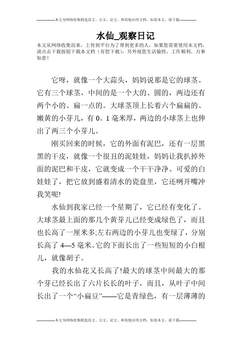 水仙_观察日记