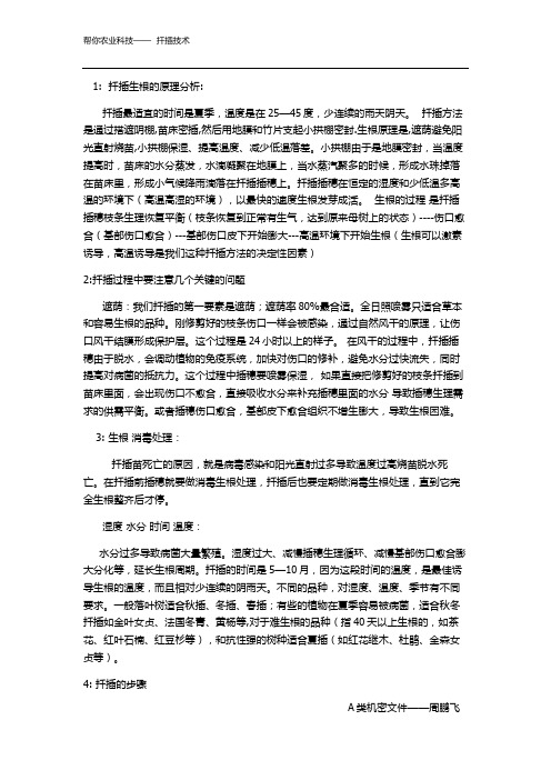 扦插