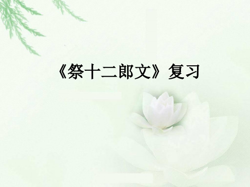 祭十二郎文复习课件