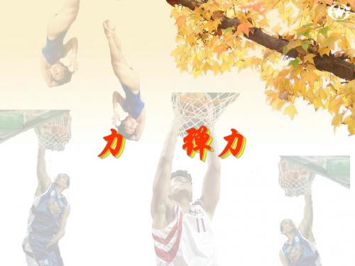 苏科版八年级下册物理《8.1 力 弹力》课件(共24张PPT)