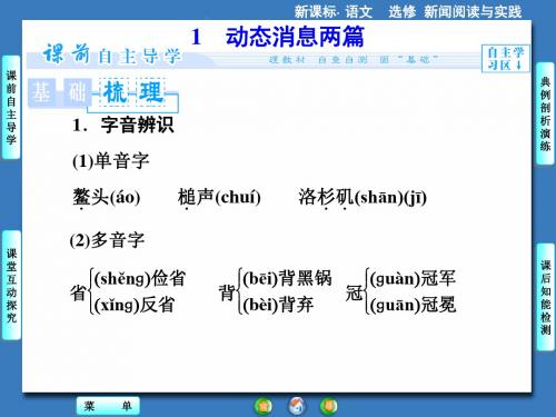 消息：带着露珠的新闻PPT15(5份)