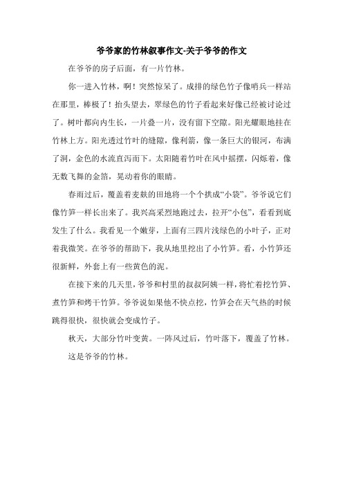 爷爷家的竹林叙事作文-关于爷爷的作文.doc