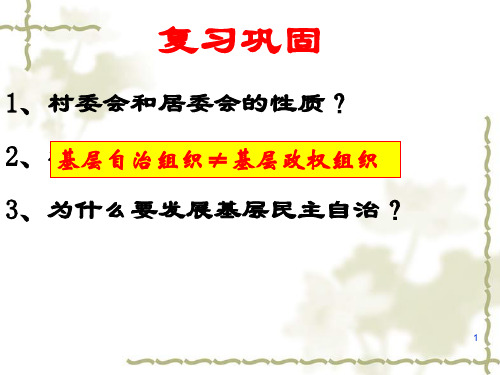 民主监督：守望公共家园ppt课件