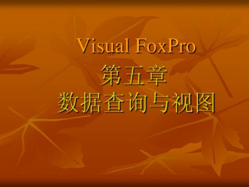 VFP计算机二级 第5章 查询与视图