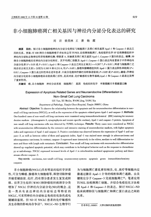 非小细胞肺癌凋亡相关基因与神经内分泌分化表达的研究