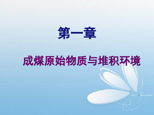 01 成煤原始物质与堆积环境