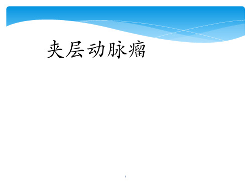 夹层动脉瘤PPT课件