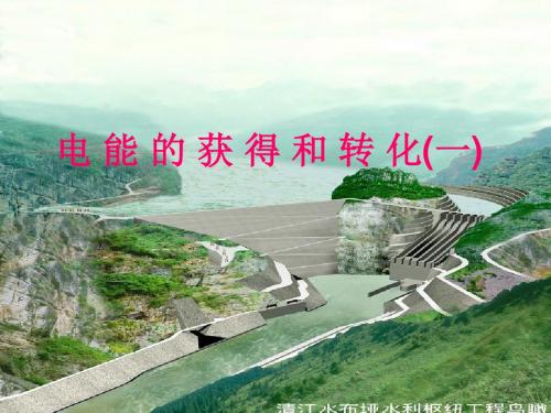 【化学课件】华师大版2017年九年级科学上第4章有机物教案课件