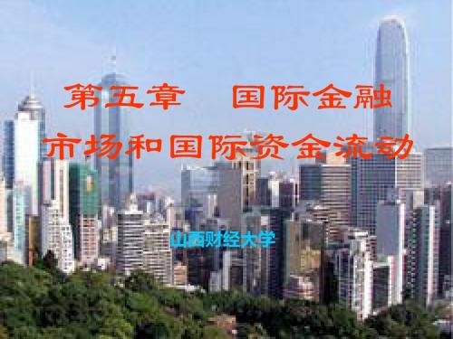 05国际金融市场和国际资金流动-PPT精选文档