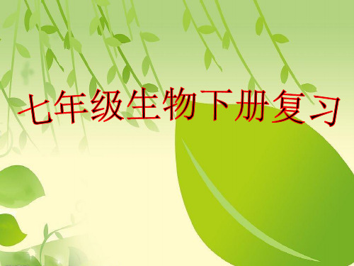 七年级下册生物第四章人体内物质的运输复习课件.ppt