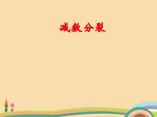 高三生物减数分裂复习PPT优秀课件