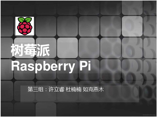 树莓派简介PPT课件