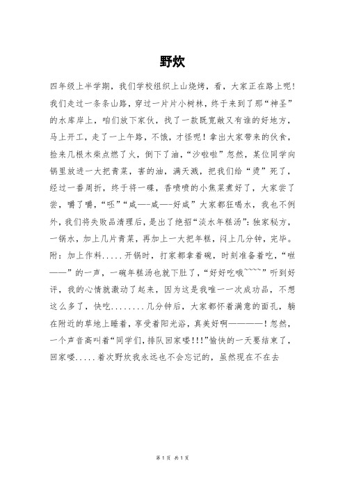 野炊_初二作文_1