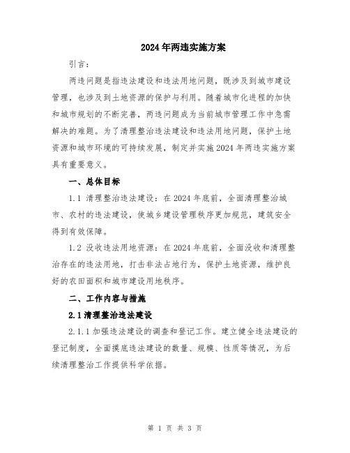 2024年两违实施方案