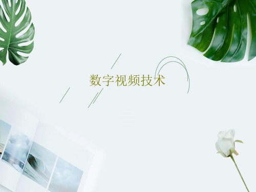 数字视频技术共33页