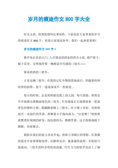 岁月的痕迹作文800字大全
