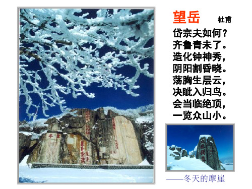 登泰山记文言梳理