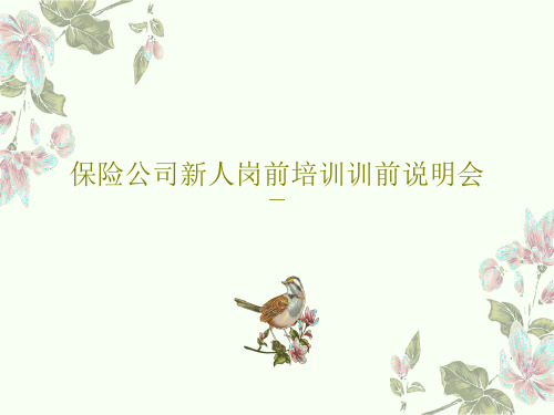 保险公司新人岗前培训训前说明会共47页