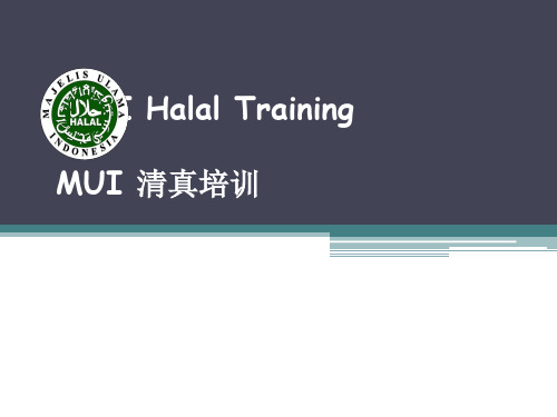 MUI halal培训
