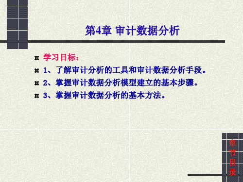 2019-第4章审计数据分析-文档资料